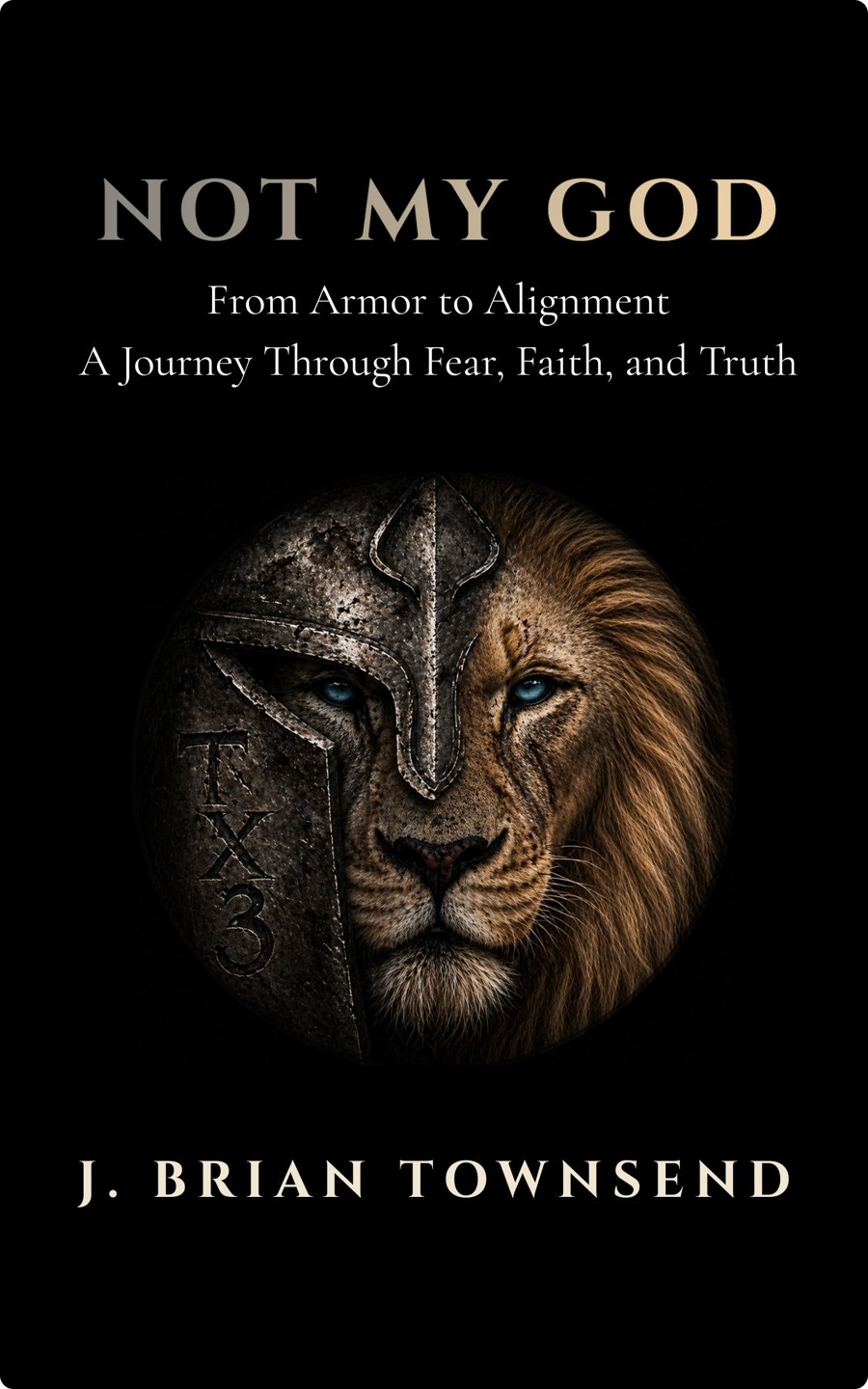 Book cover for Not My God by J. Brian Townsend
